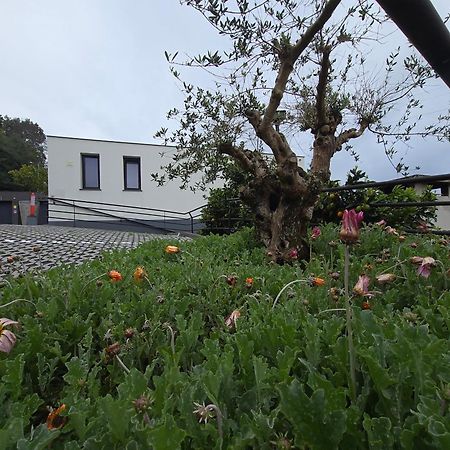شقة Casa Do Manuel سانتانا المظهر الخارجي الصورة